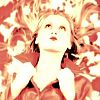 member's avatar