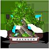 member's avatar