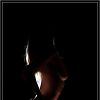 member's avatar