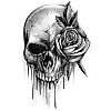 member's avatar