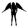 member's avatar