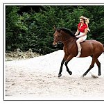 a cheval