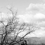 Emotion d'hiver