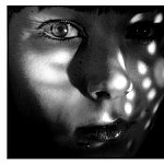 in the light night by brx