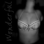 Photographie n°7