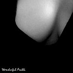 Photographie n°11