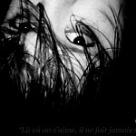Photographie n°18