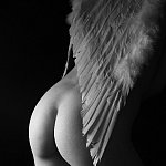 L'ange