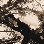 On a tree