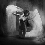 Althea ange libere