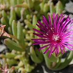 Nature 03