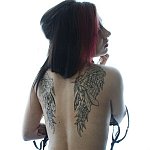 LaFéesia