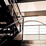 Shoots par Didier Jacquet