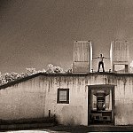 Shoots par Didier Jacquet