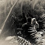 Shoots par Didier Jacquet