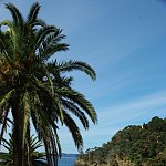 Cavalaire