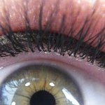 oeil