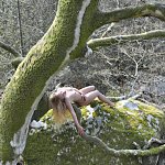 foret1