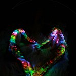 LOVE BURNING