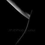 Clair Obscur