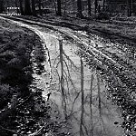 le chemin