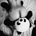 Photovideomaker1_InShot_20251113_174357570