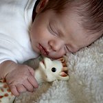 portrait bébé