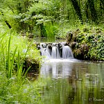 Petite cascade