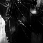 photobondage_IMG_9825