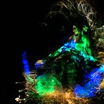 lilo graine - my-blackbox.com