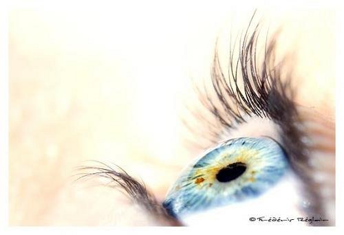 détail oeil