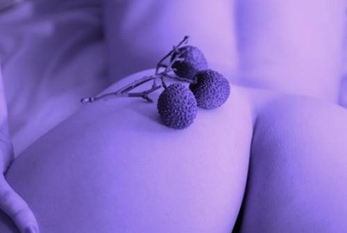 ESSAIS CORPS FRUIT