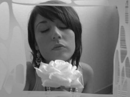 la rose