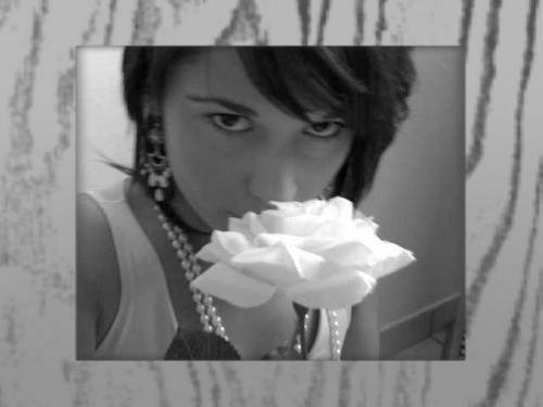 la rose3