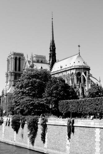 notre dame