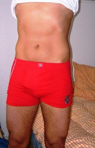 boxer