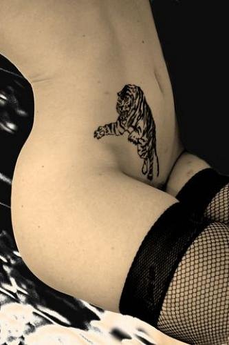 TIGRE