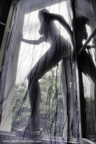 Sylvain Harrison