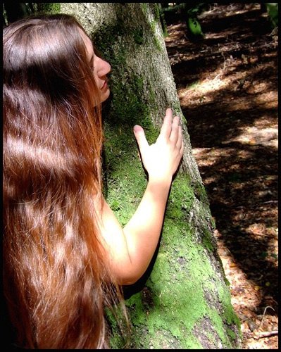 Selva 1