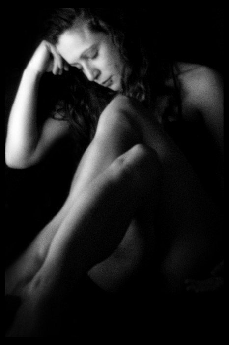 colombe