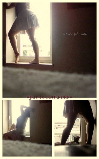 Photographie n°12