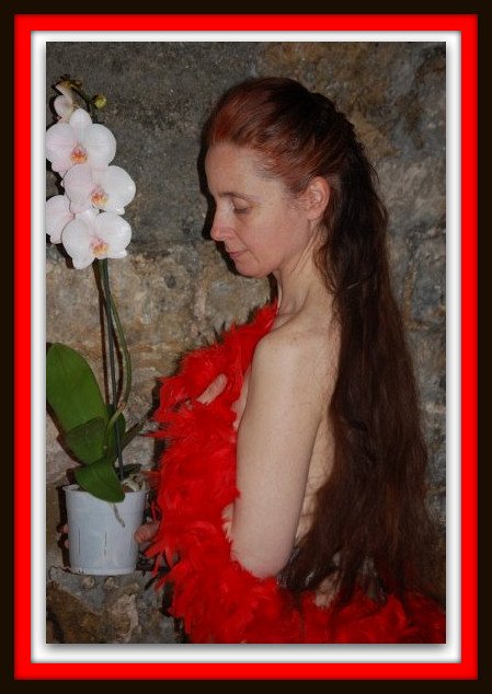 Boa et Orchidees