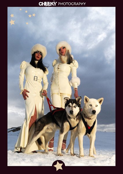 Polar Spies