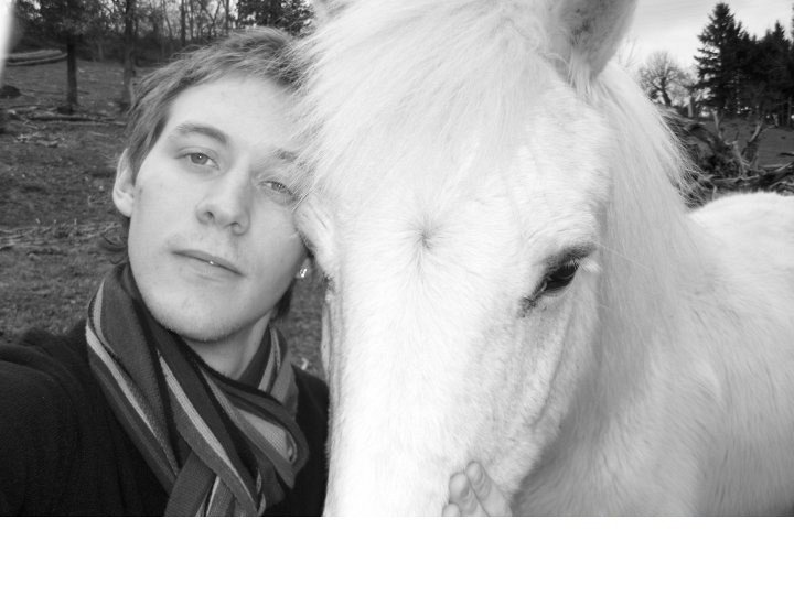 cheval 2
