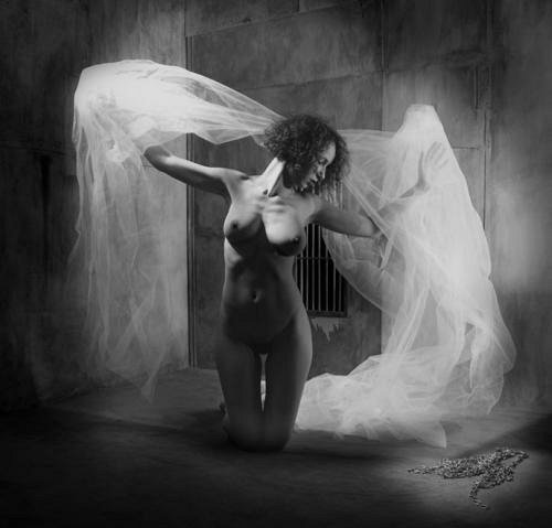 Althea ange libere
