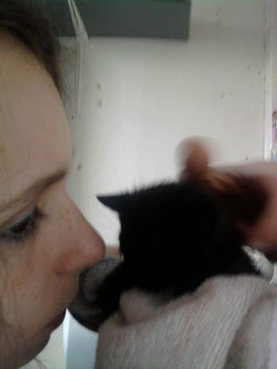 ::I love My Black Kitty::
