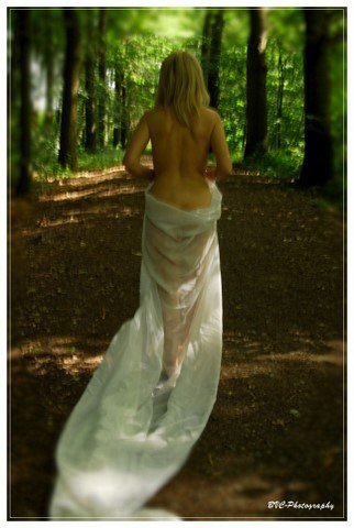 En forêt
