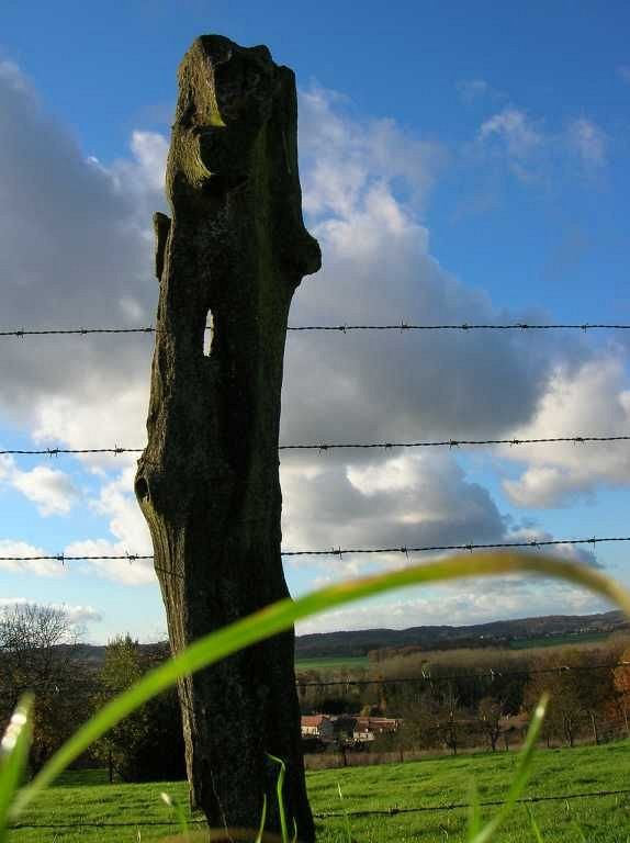 Paysage