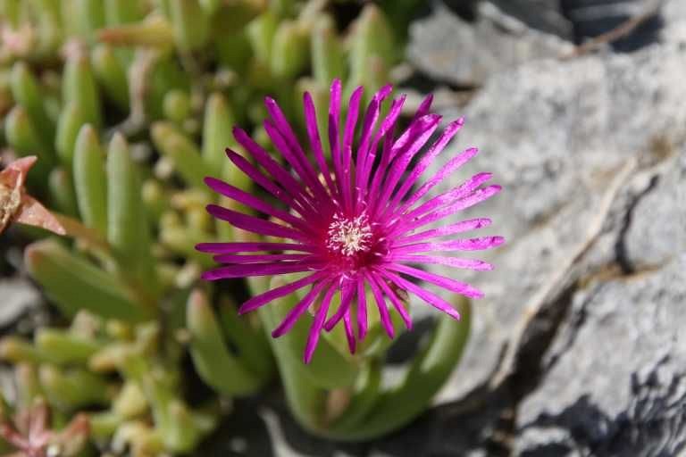 Nature 03
