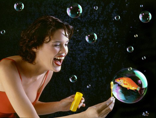 Poisson bulle